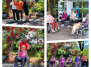 25.06.14 원외 산책