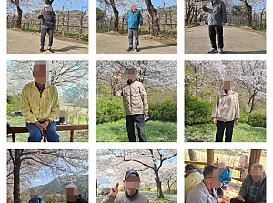 26.04.11 요양1팀 벚꽃길 나들이