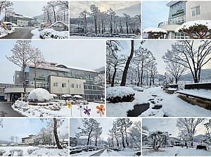 24.01.10 경북작은자의 집 설경 사진