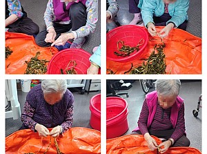 25.05.01 오감자극활동 - 시래기 다듬기